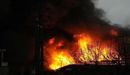 TEMA: Yangın bir çevre felaketidir